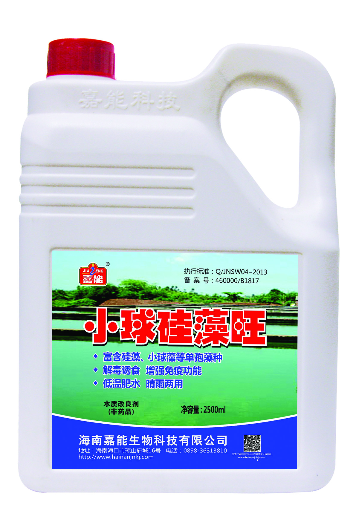 小球硅藻旺